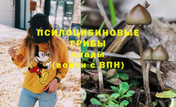 мдма Карпинск