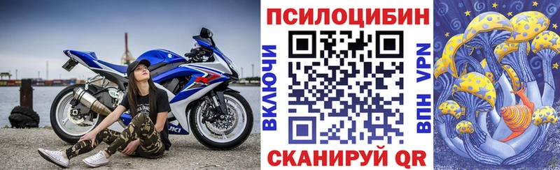 Псилоцибиновые грибы прущие грибы  Купить  Котлас 